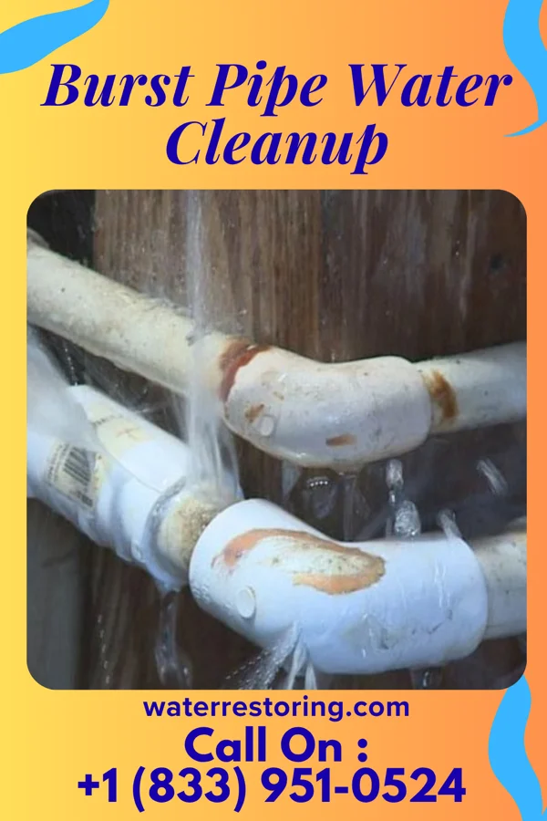 Burst Pipe Water Cleanup in Lake Wynonah, PA