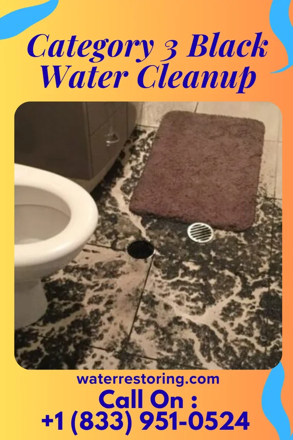 Category 3 Black Water Cleanup in Lake Wynonah, PA