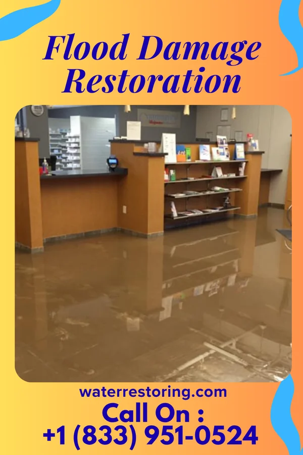 Flood Damage Restoration in Lake Wynonah, PA