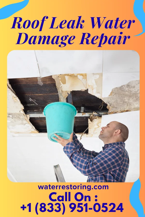 Roof Leak Water Damage Repair in Lake Wynonah, PA