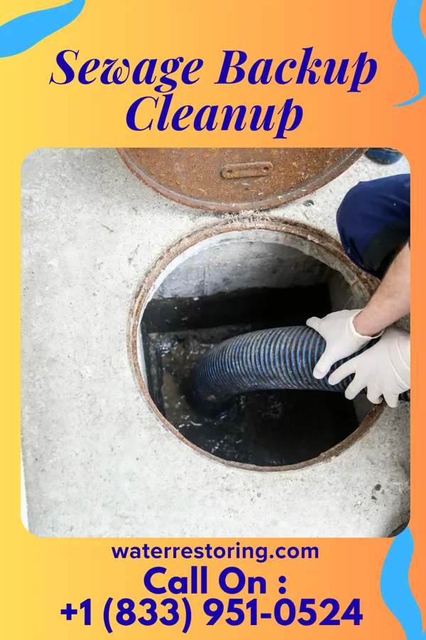 Sewage Backup Cleanup in Lake Wynonah, PA