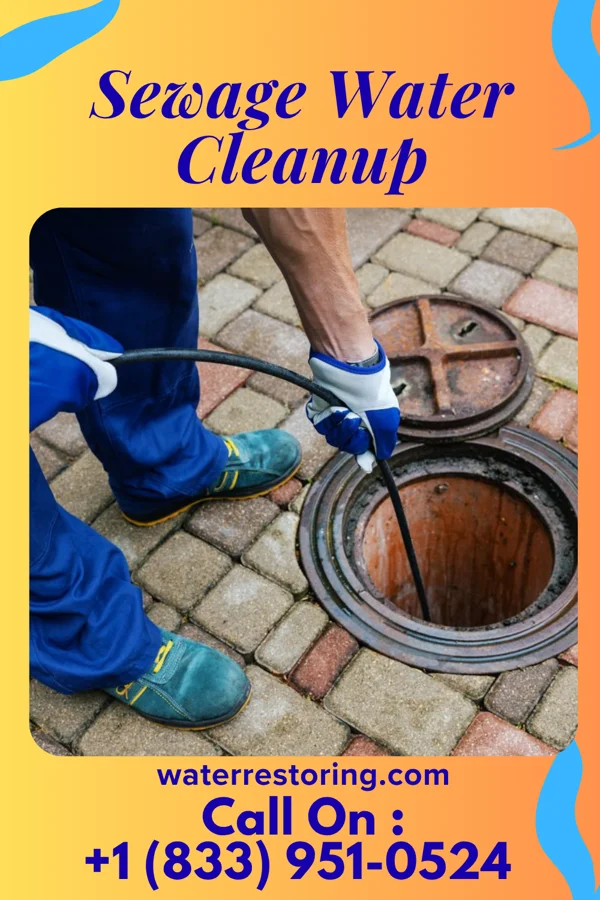 Sewage Water Cleanup in Lake Wynonah, PA
